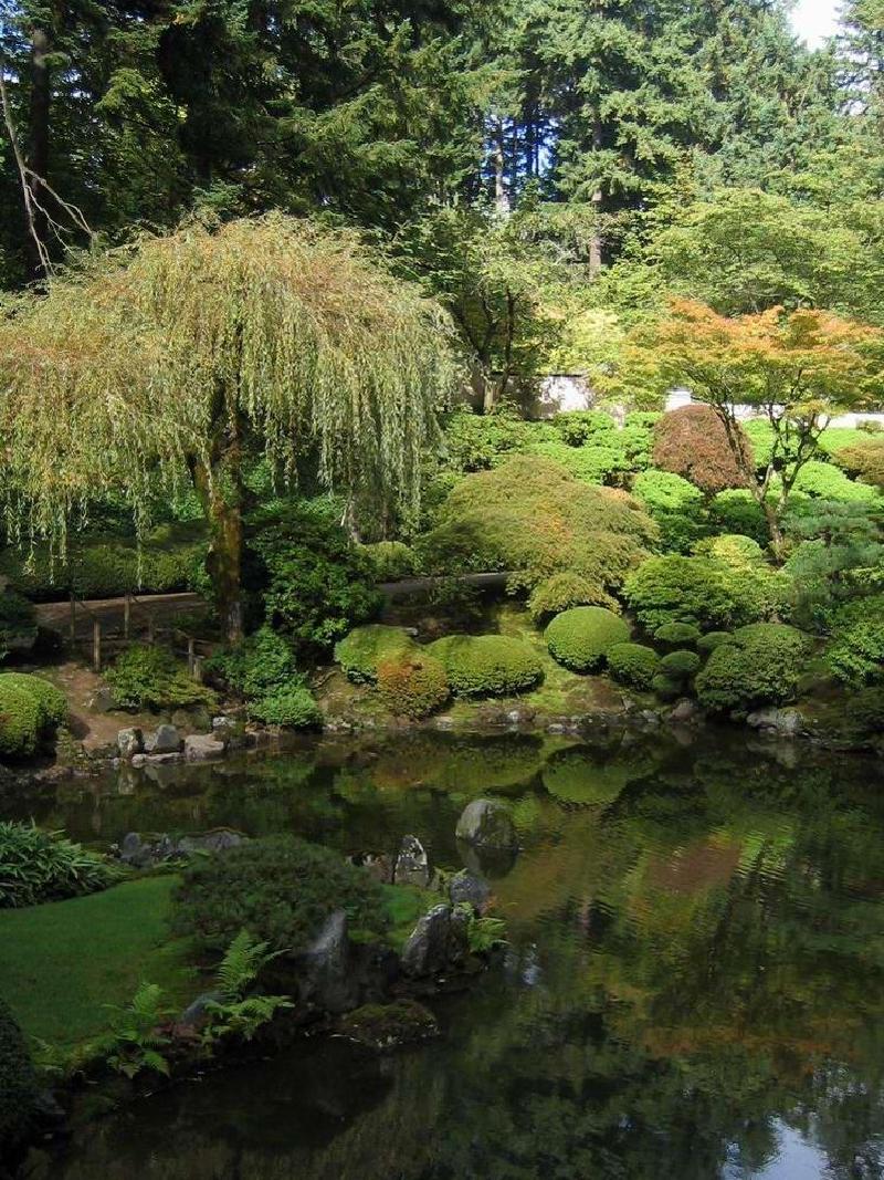 gallery/japanese_garden_20.jpg