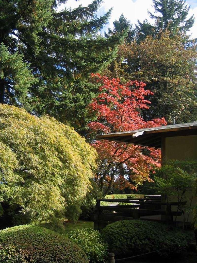 gallery/japanese_garden_22.jpg