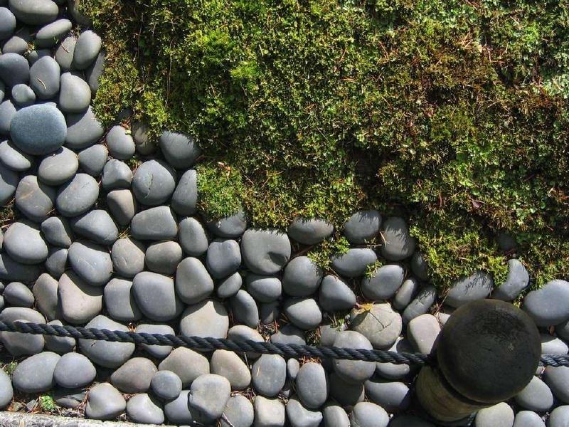 gallery/japanese_garden_23.jpg