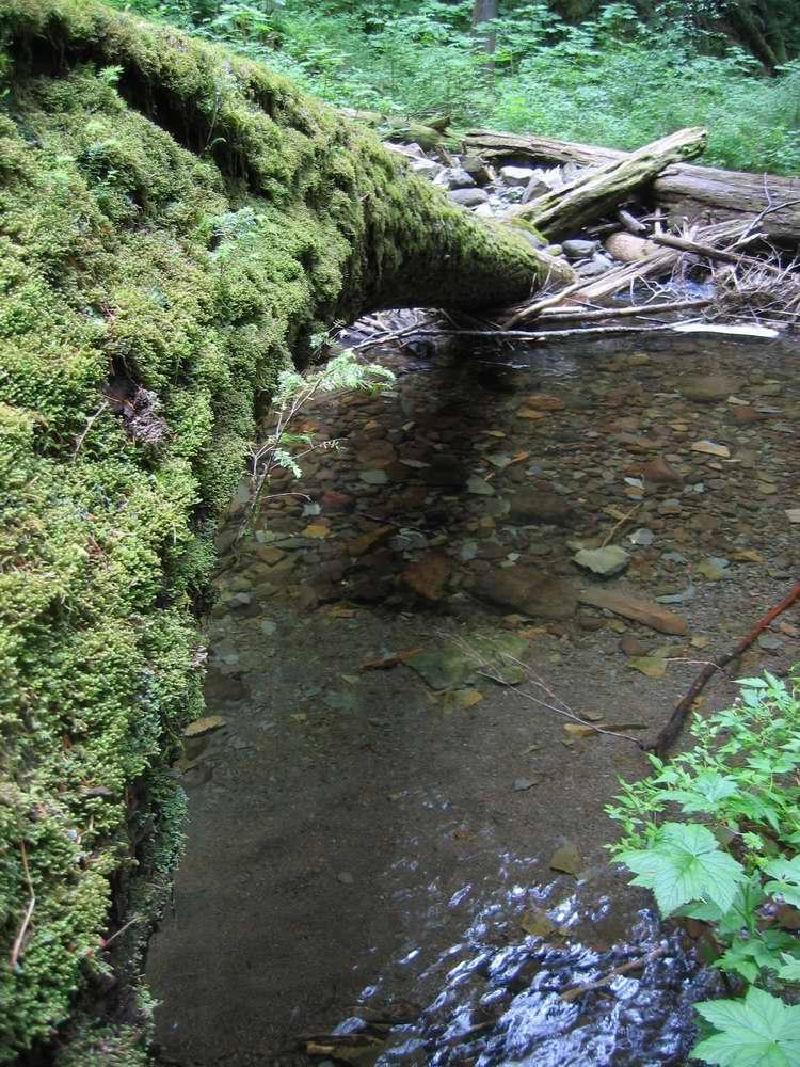 gallery/gorge_27.jpg