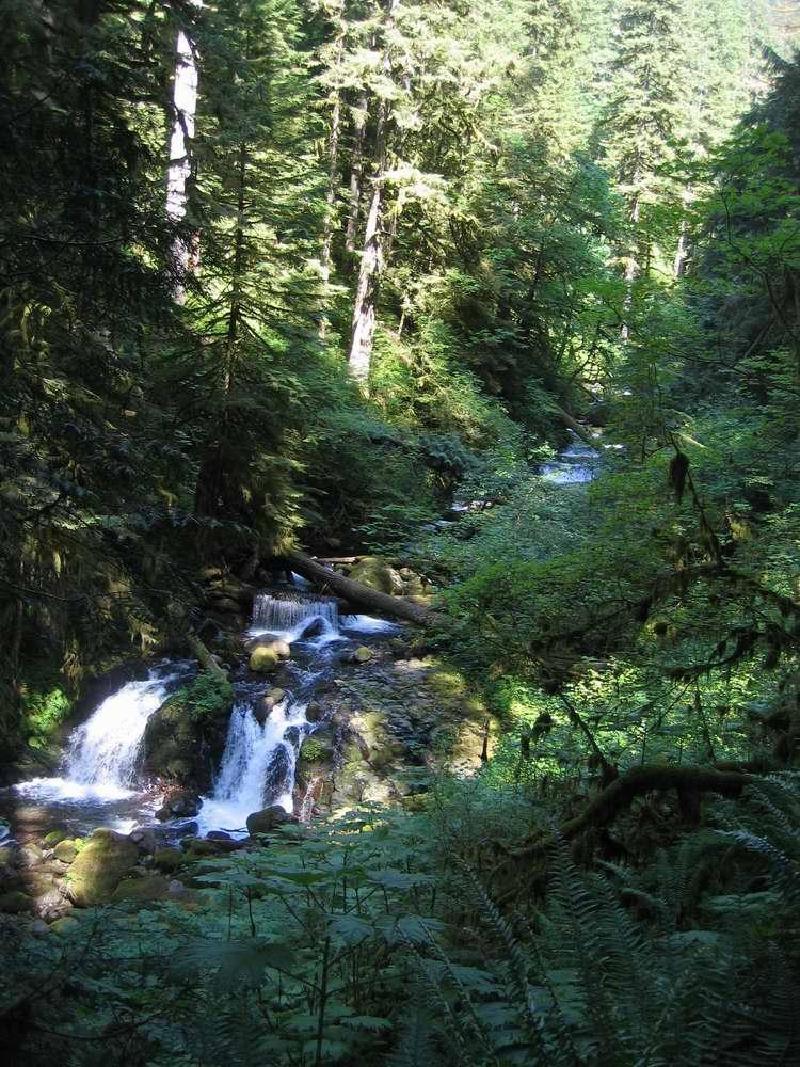 gallery/gorge_32.jpg