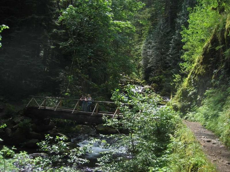 gallery/gorge_5.jpg