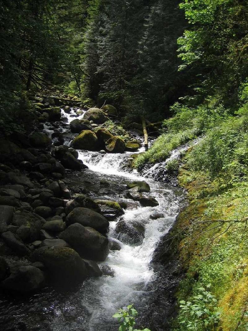 gallery/gorge_7.jpg
