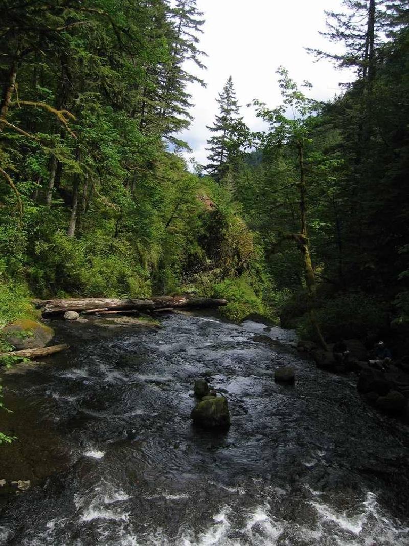 gallery/gorge_8.jpg