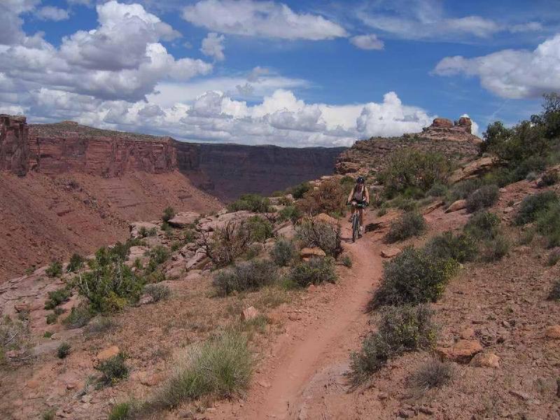 gallery/porcupine_rim_33.jpg