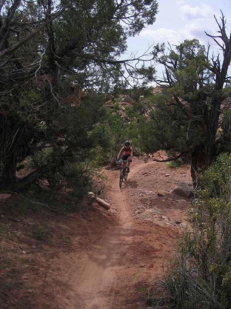 gallery/sovereign_trail_20.jpg