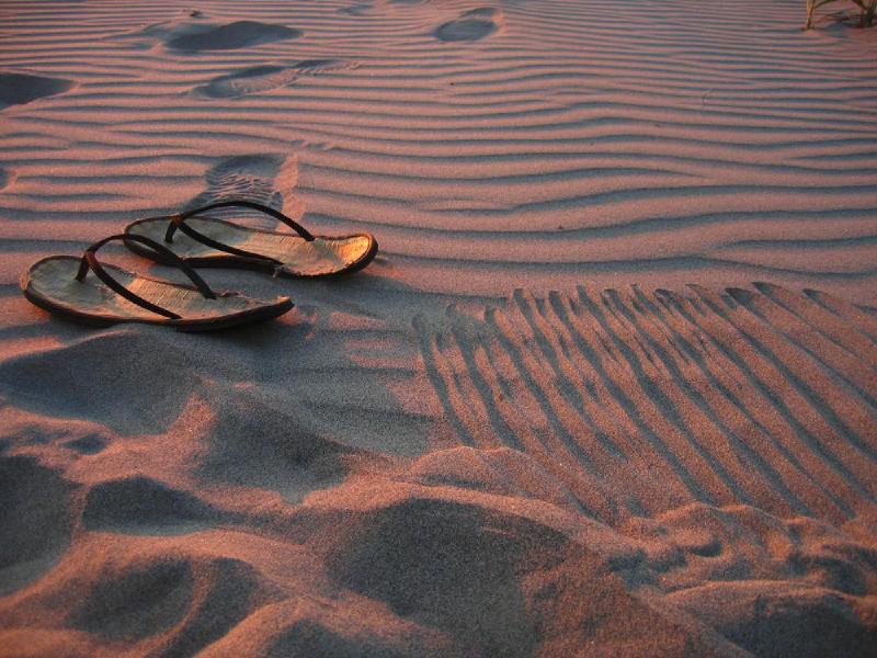 gallery/gearhart_12.jpg