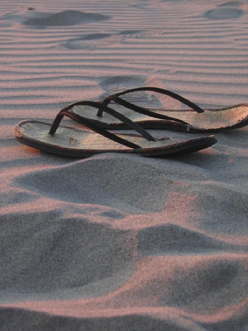 gallery/gearhart_18.jpg