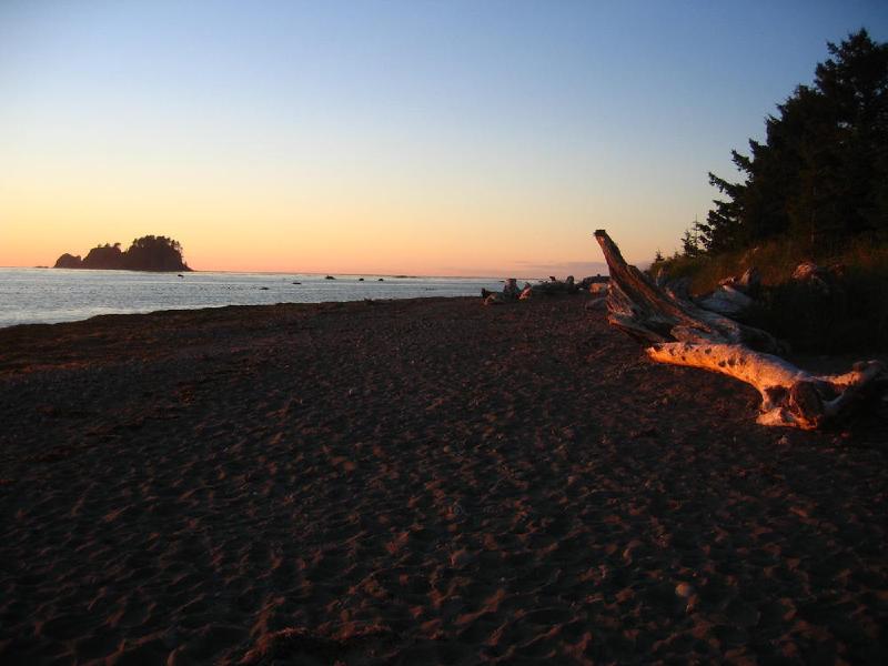 gallery/cape_alava_18.jpg