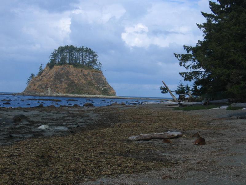gallery/cape_alava_23.jpg