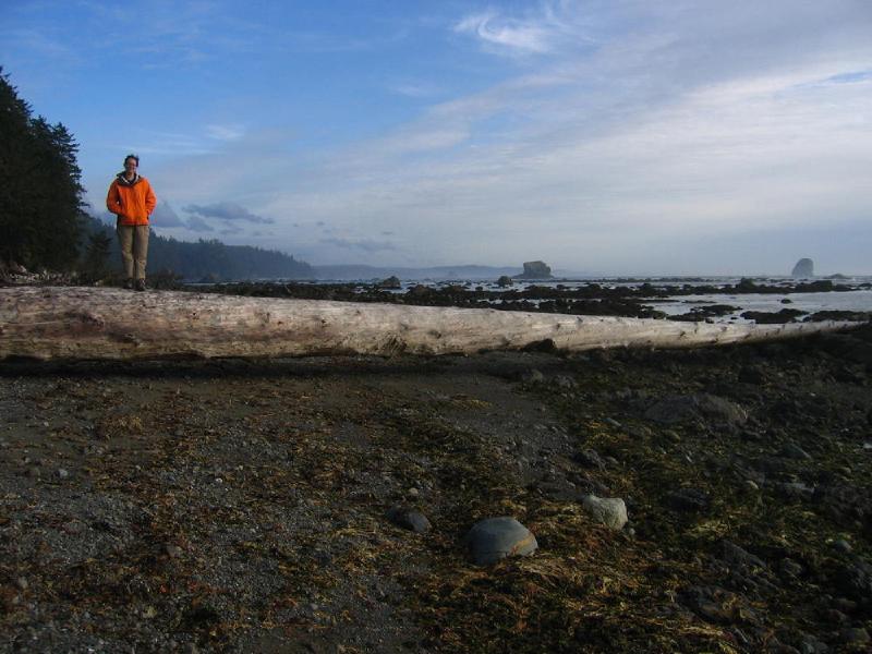 gallery/cape_alava_27.jpg