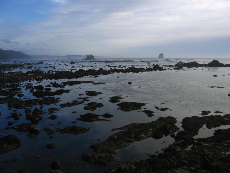 gallery/cape_alava_29.jpg