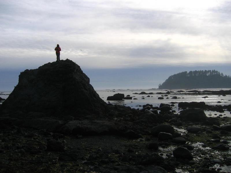 gallery/cape_alava_30.jpg