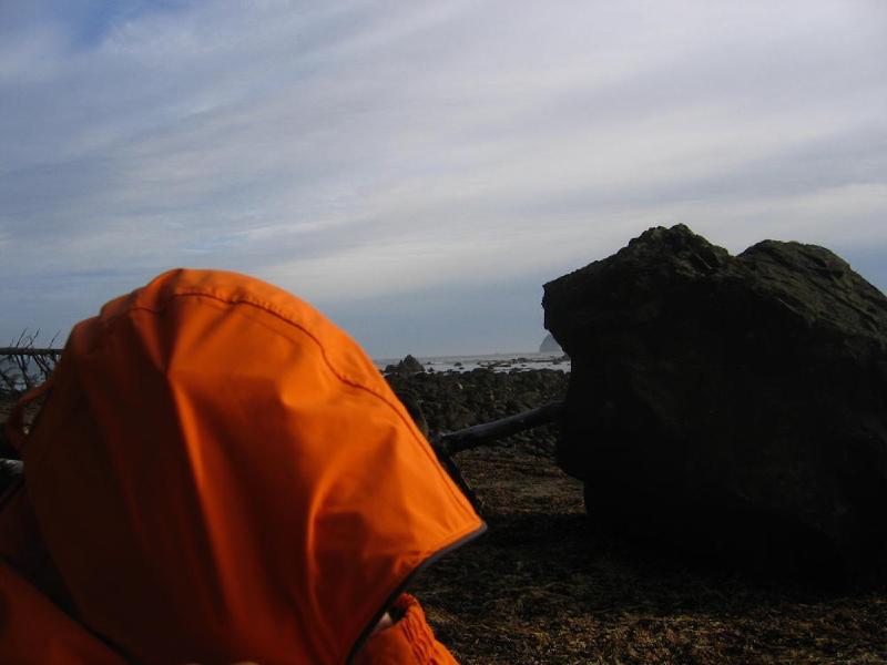 gallery/cape_alava_36.jpg