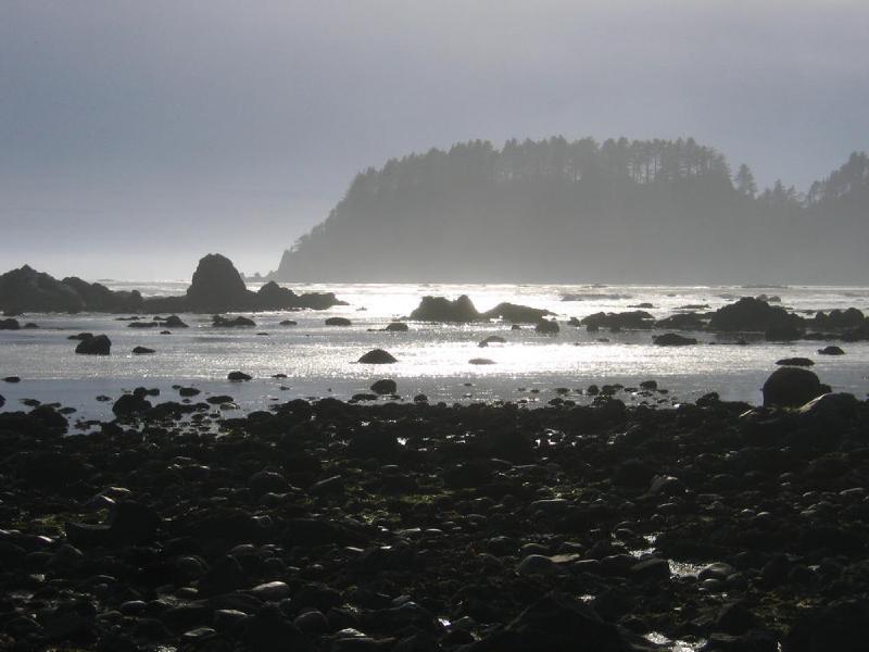 gallery/cape_alava_37.jpg