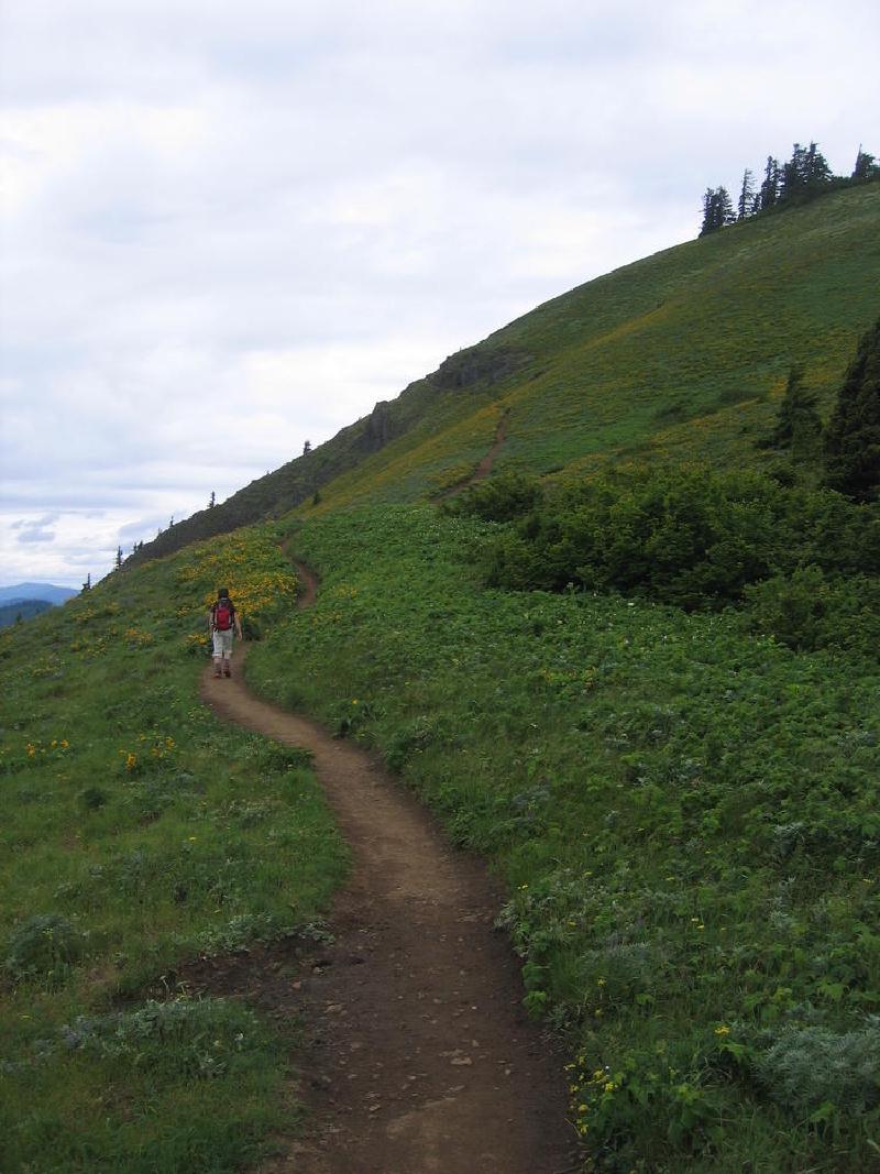 gallery/dog_mountain_03.jpg
