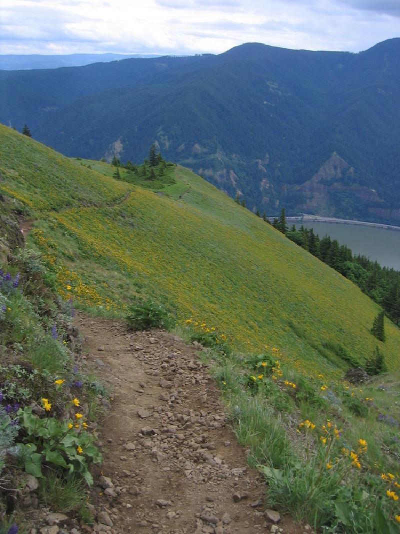 gallery/dog_mountain_05.jpg