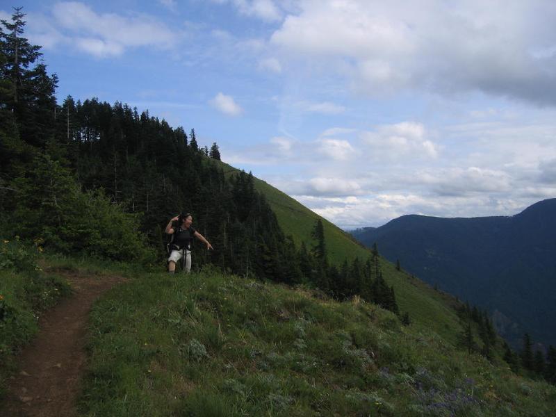 gallery/dog_mountain_08.jpg