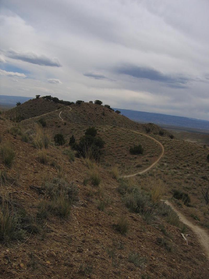 gallery/fruita_01.jpg