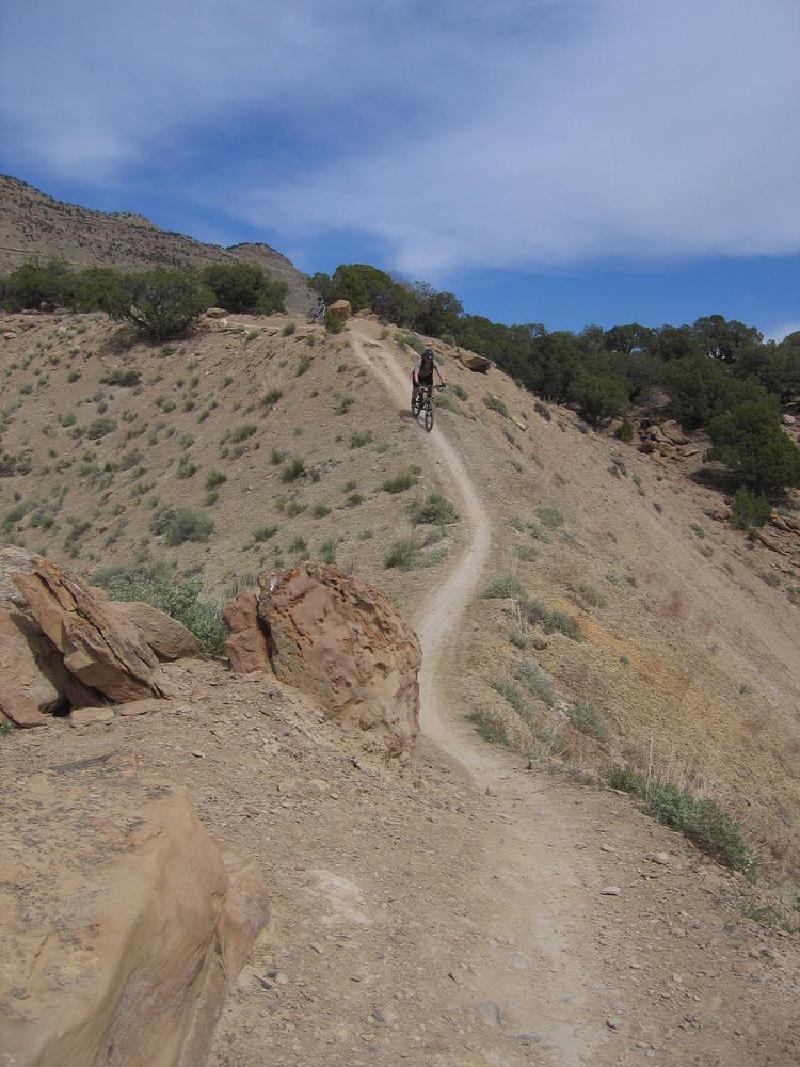 gallery/fruita_07.jpg