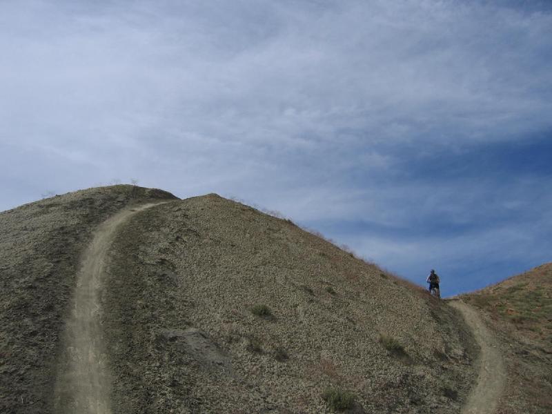 gallery/fruita_22.jpg