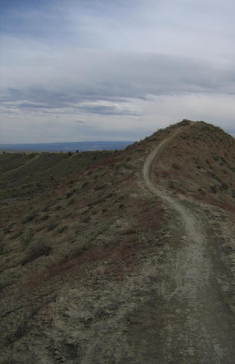 gallery/fruita_24.jpg