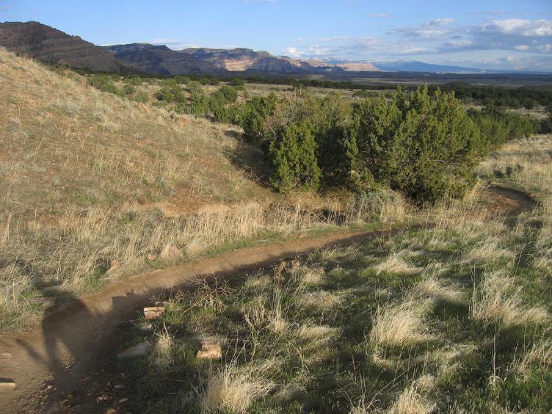gallery/fruita_25.jpg