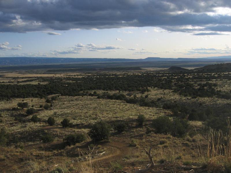 gallery/fruita_27.jpg