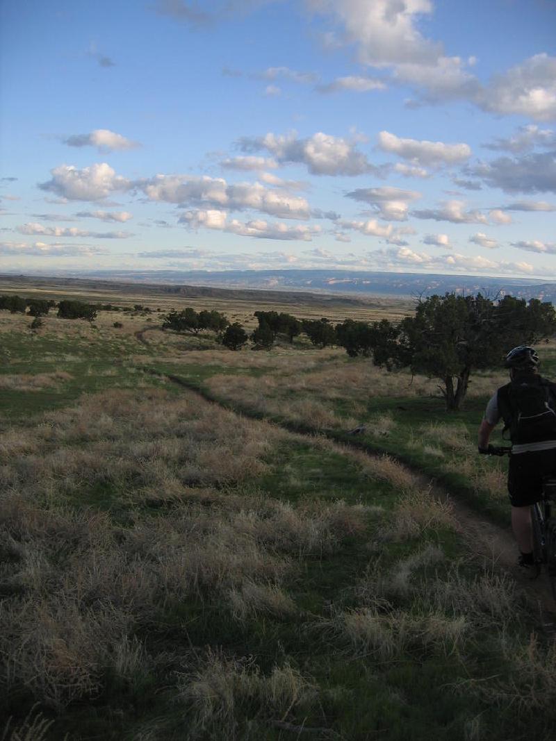 gallery/fruita_30.jpg