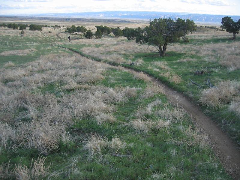 gallery/fruita_31.jpg