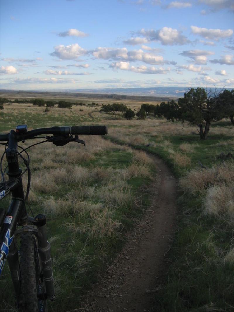 gallery/fruita_32.jpg