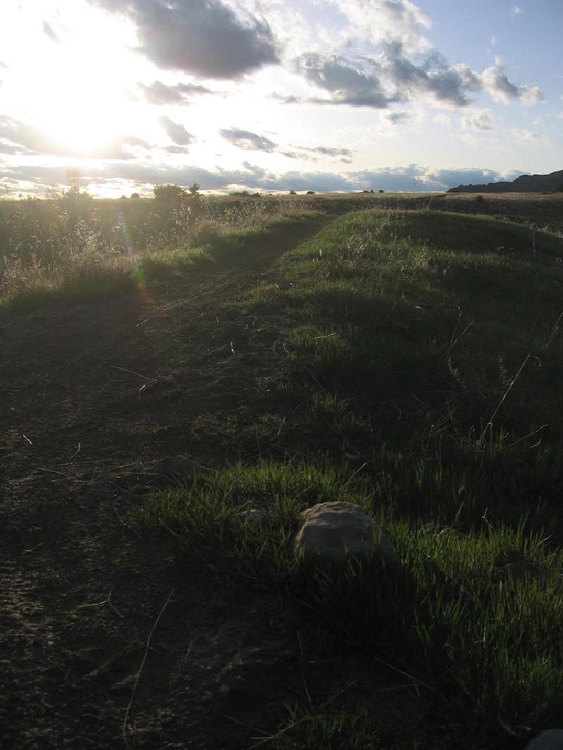 gallery/fruita_33.jpg