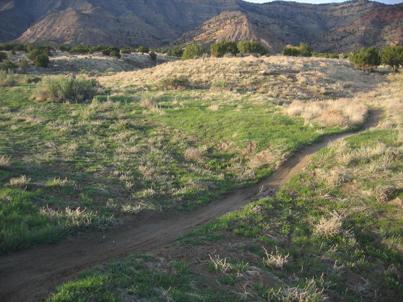 gallery/fruita_37.jpg
