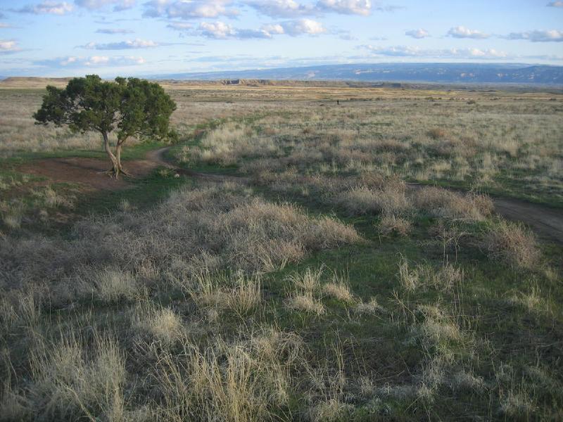 gallery/fruita_38.jpg