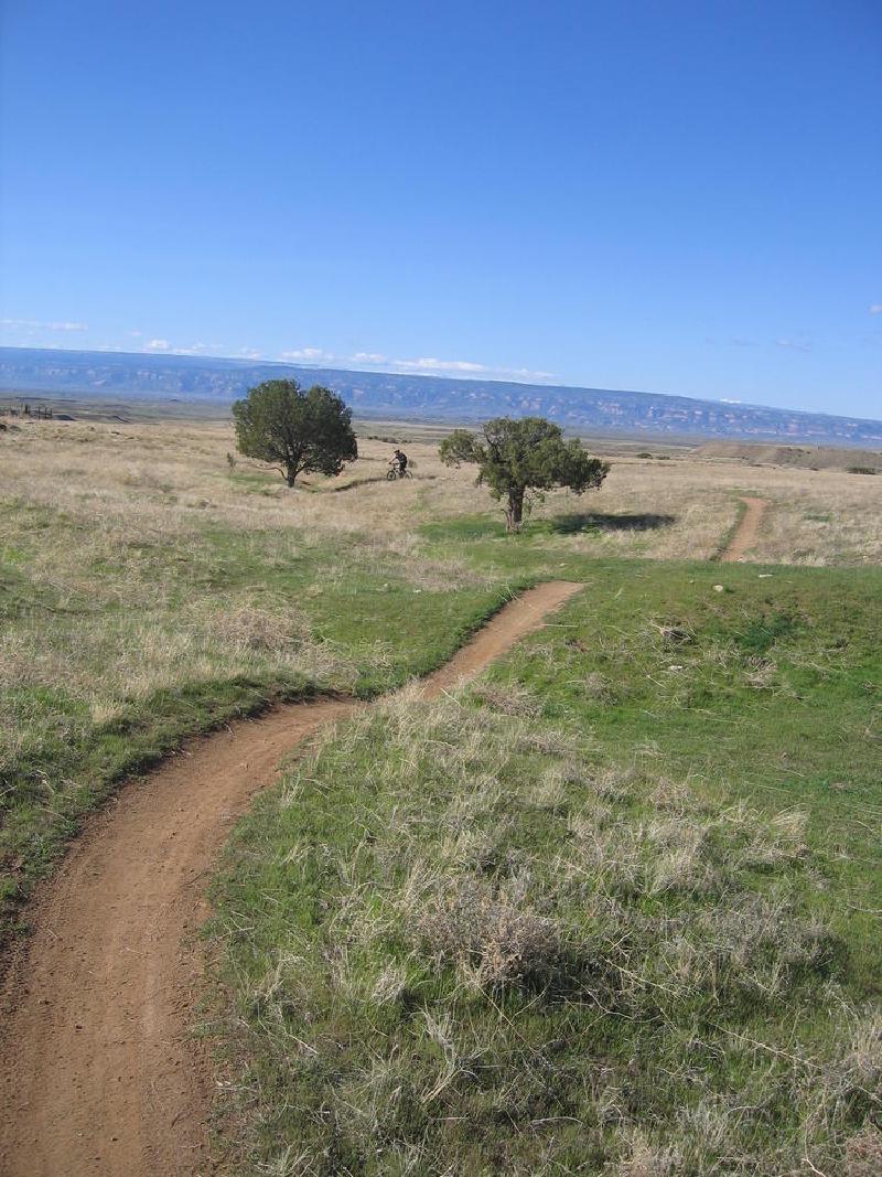 gallery/fruita_42.jpg