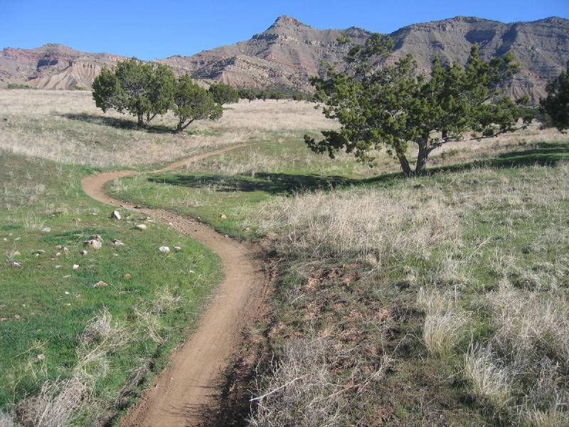 gallery/fruita_43.jpg
