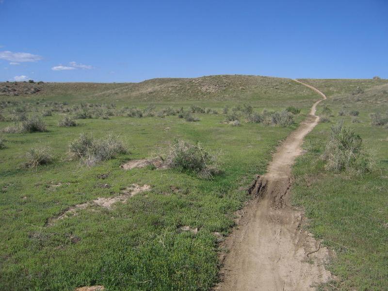 gallery/fruita_48.jpg