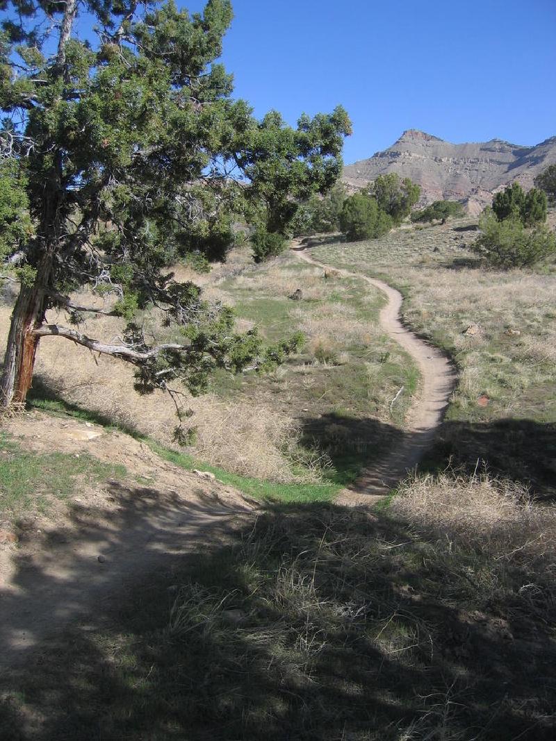gallery/fruita_49.jpg