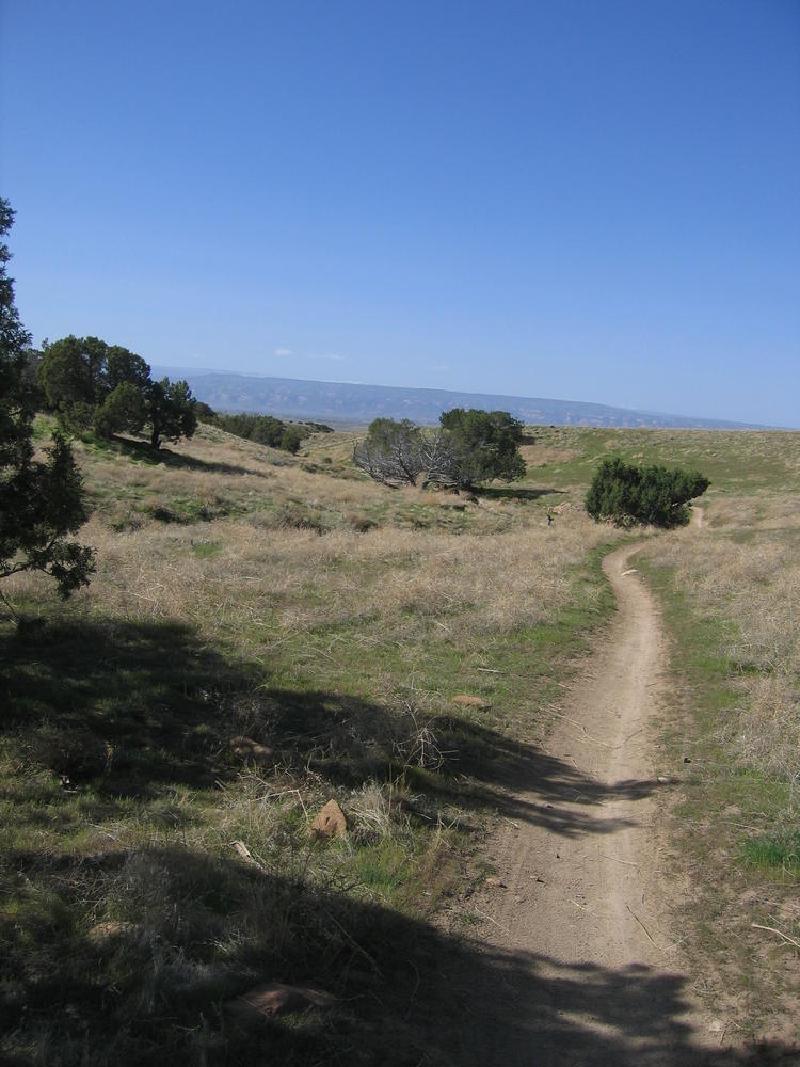 gallery/fruita_53.jpg