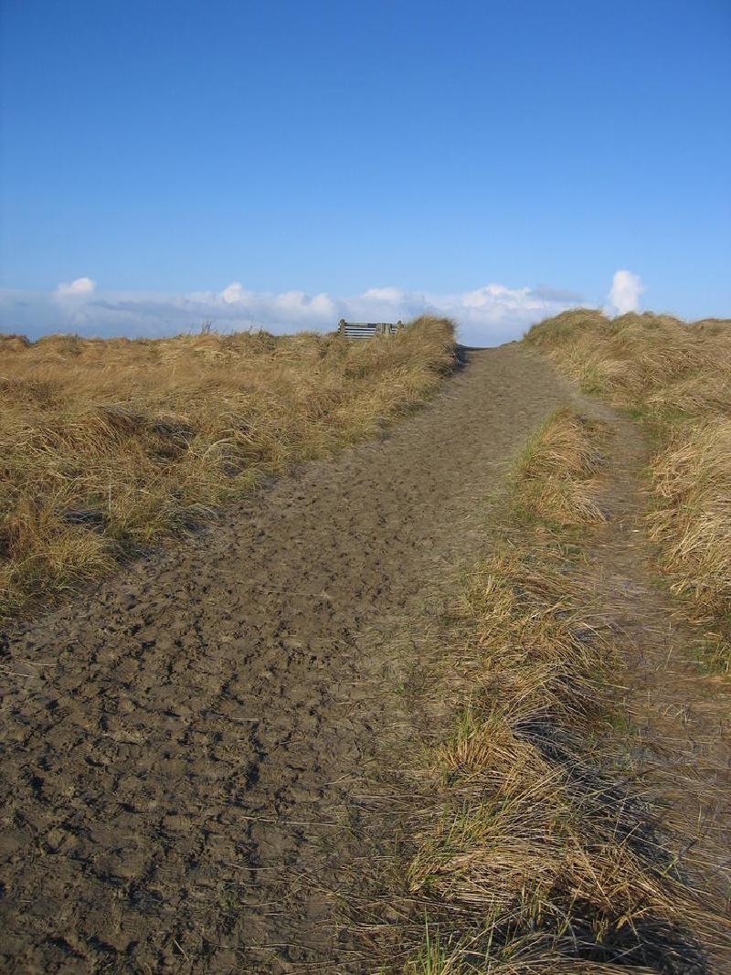 gallery/beach_04.jpg
