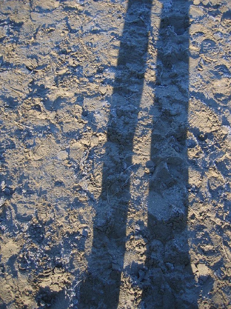 gallery/beach_06.jpg