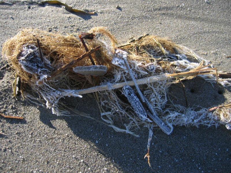gallery/beach_11.jpg