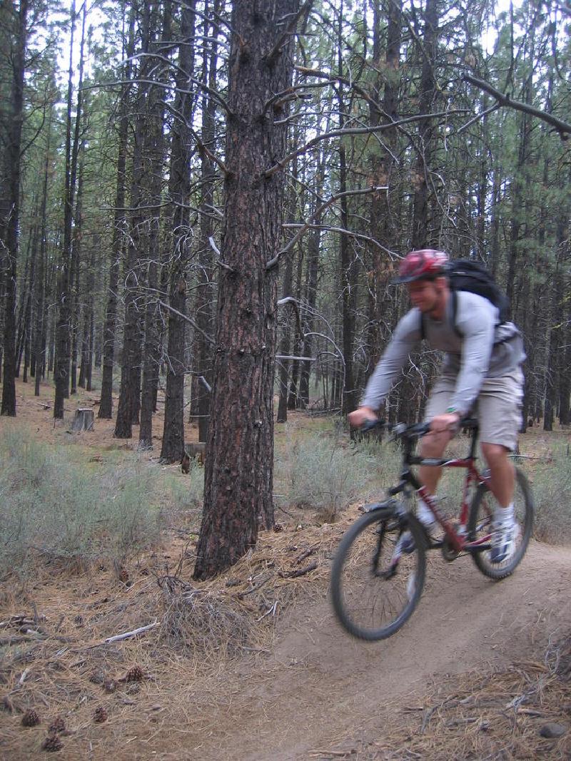 gallery/phils_trail_05.jpg