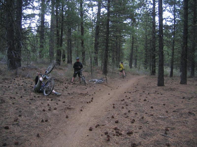 gallery/phils_trail_19.jpg