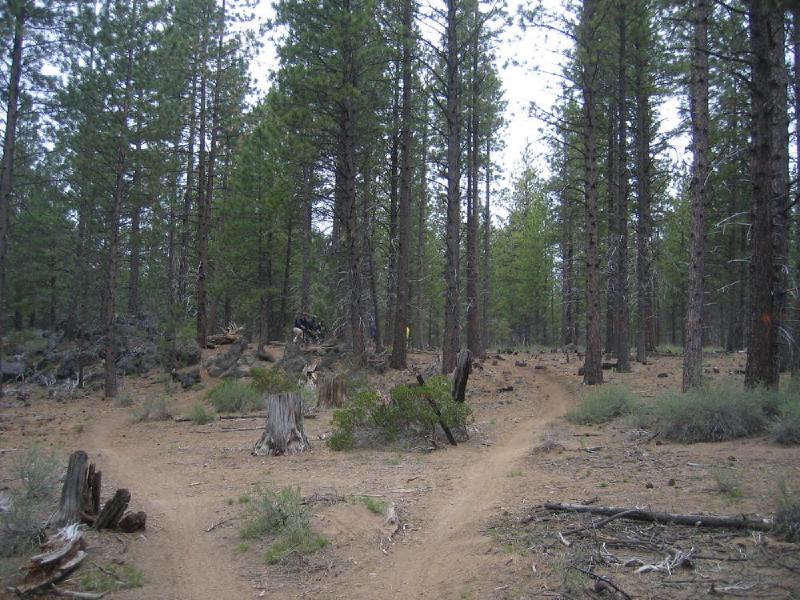 gallery/phils_trail_20.jpg
