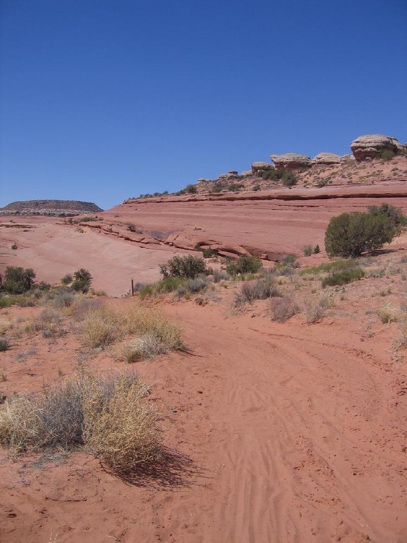 gallery/bartlet_slickrock_02.jpg