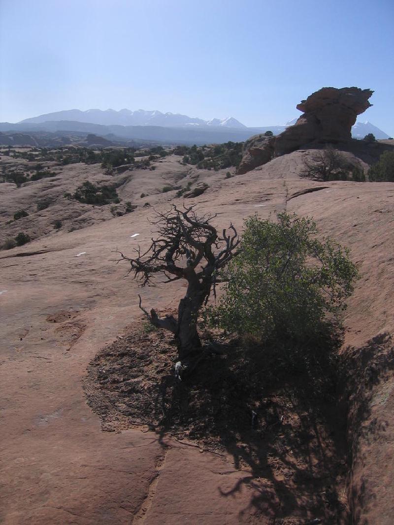 gallery/slickrock_12.jpg