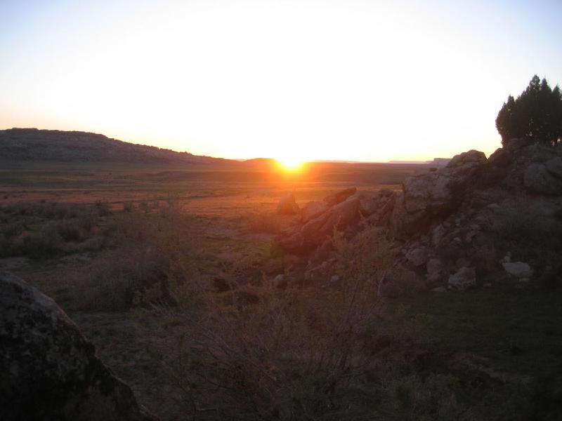 gallery/sunshine_wall_28.jpg