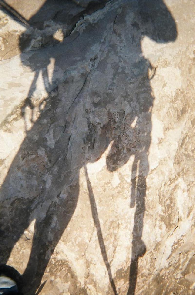 gallery/sunshine_wall_46.jpg