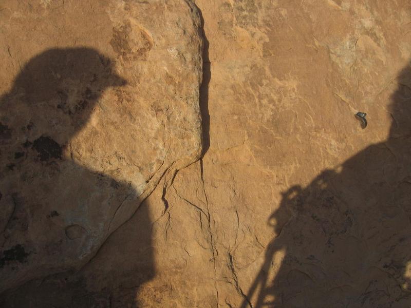 gallery/sunshine_wall_59.jpg